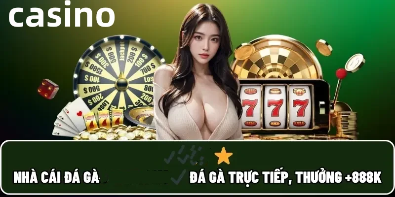 win66